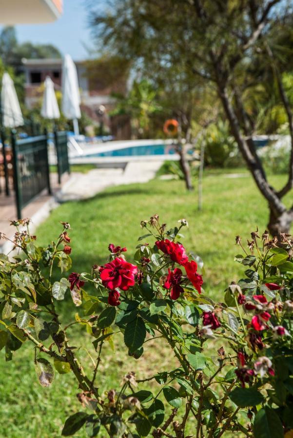 Dimas V House Aparthotel Parga Ngoại thất bức ảnh