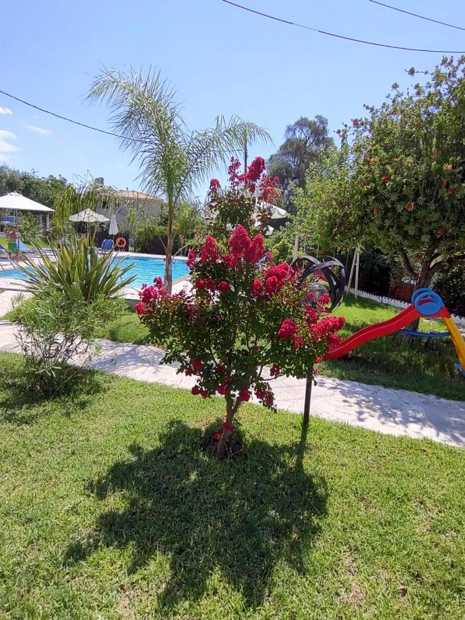 Dimas V House Aparthotel Parga Ngoại thất bức ảnh